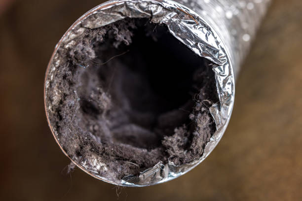 Best Ventilation Cleaning Services  in Stonewood, WV